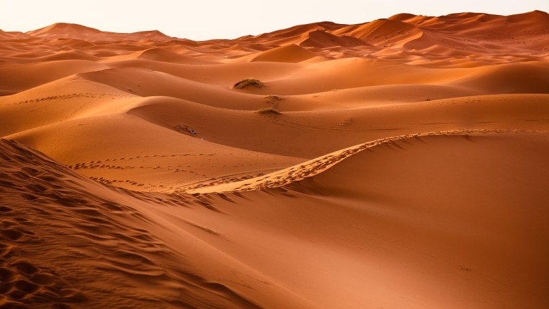 Dezert vs. desert vs. dessert
